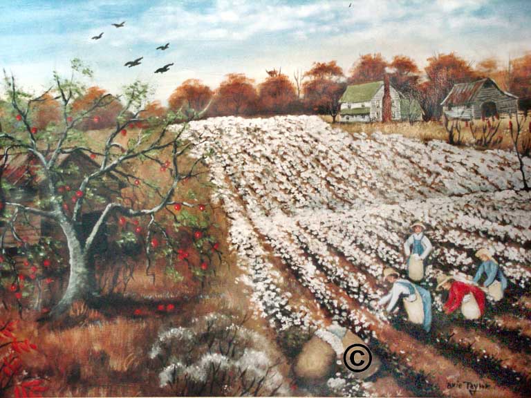 Picking Cotton
