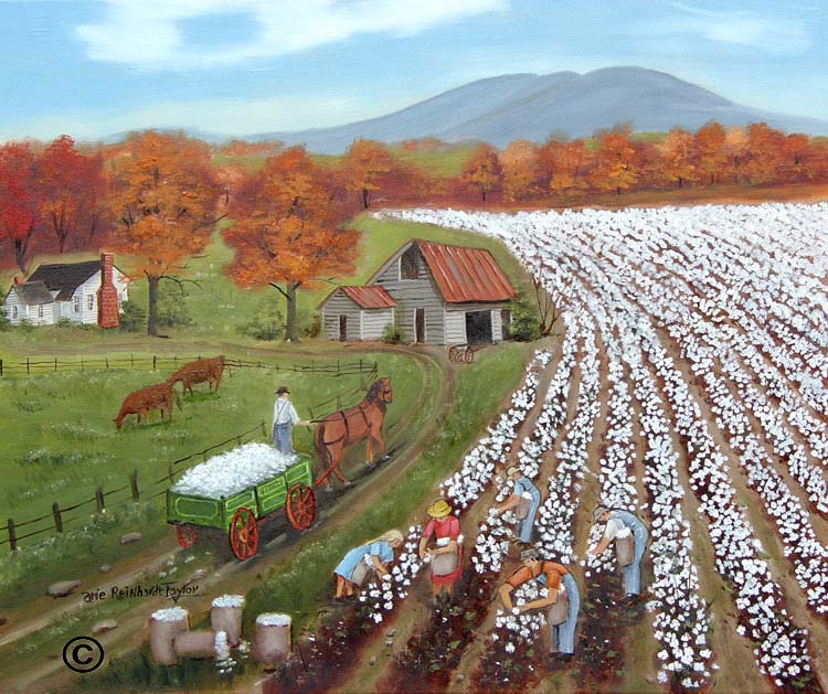 Picking Cotton