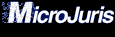  Microjury 