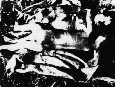 Bijay and Samiran Chakma of Mallya Massacre