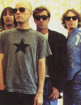 butterfly decal rearview mirror