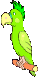 Parrot