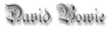 david bowie