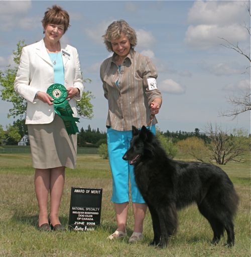 Ch. Arry Bergerac de hu