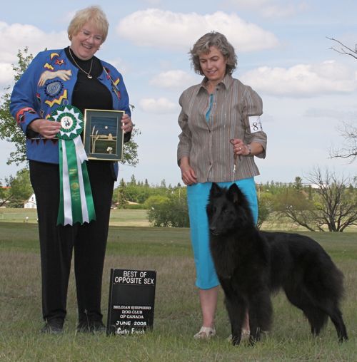 Ch. Arry Bergerac de hu