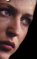 capa33.jpg (9429 bytes)