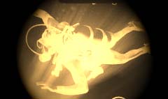 capa36.jpg (10415 bytes)