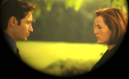 parte14.jpg (19007 bytes)