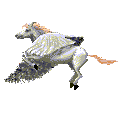 pegasus.gif (12152 bytes)