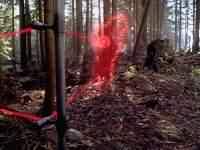 a1fallang.jpg (5022 bytes)