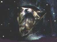 a2foo.jpg (3478 bytes)