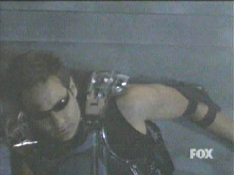 fps291.jpg (20137 bytes)