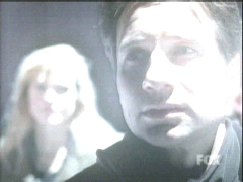 req318.jpg (18566 bytes)