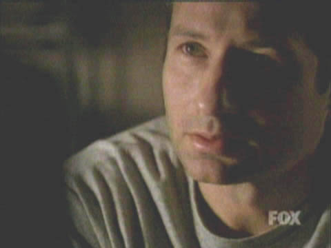 suz274.jpg (15575 bytes)