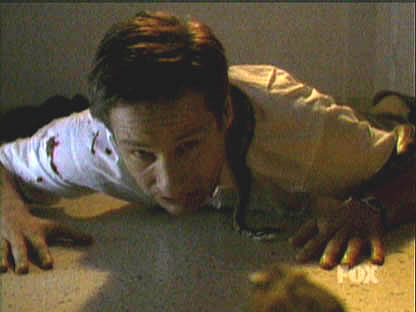 sw210.jpg (21225 bytes)