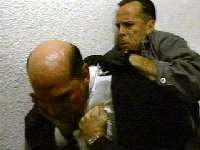 syn5cardinal.jpg (4816 bytes)