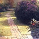 DreamersButterflyGarden