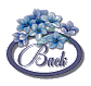 back.gif(4351 bytes)