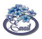 email.gif (4361 bytes)