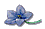 flower.gif (1421 bytes)