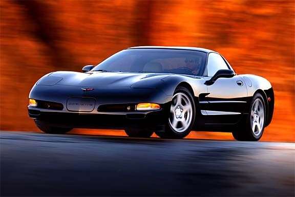 photo02_lg.jpg (22125 bytes)