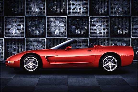 photo03_lg.jpg (35217 bytes)