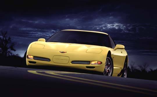 photo06_lg.jpg (15481 bytes)