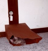 A que no me encuentras