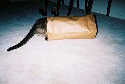 So, what's in here, anyway?