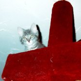 Qué bien se ve desde acá arriba!