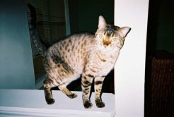 It feels so good to scratch!