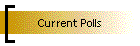 Current Polls