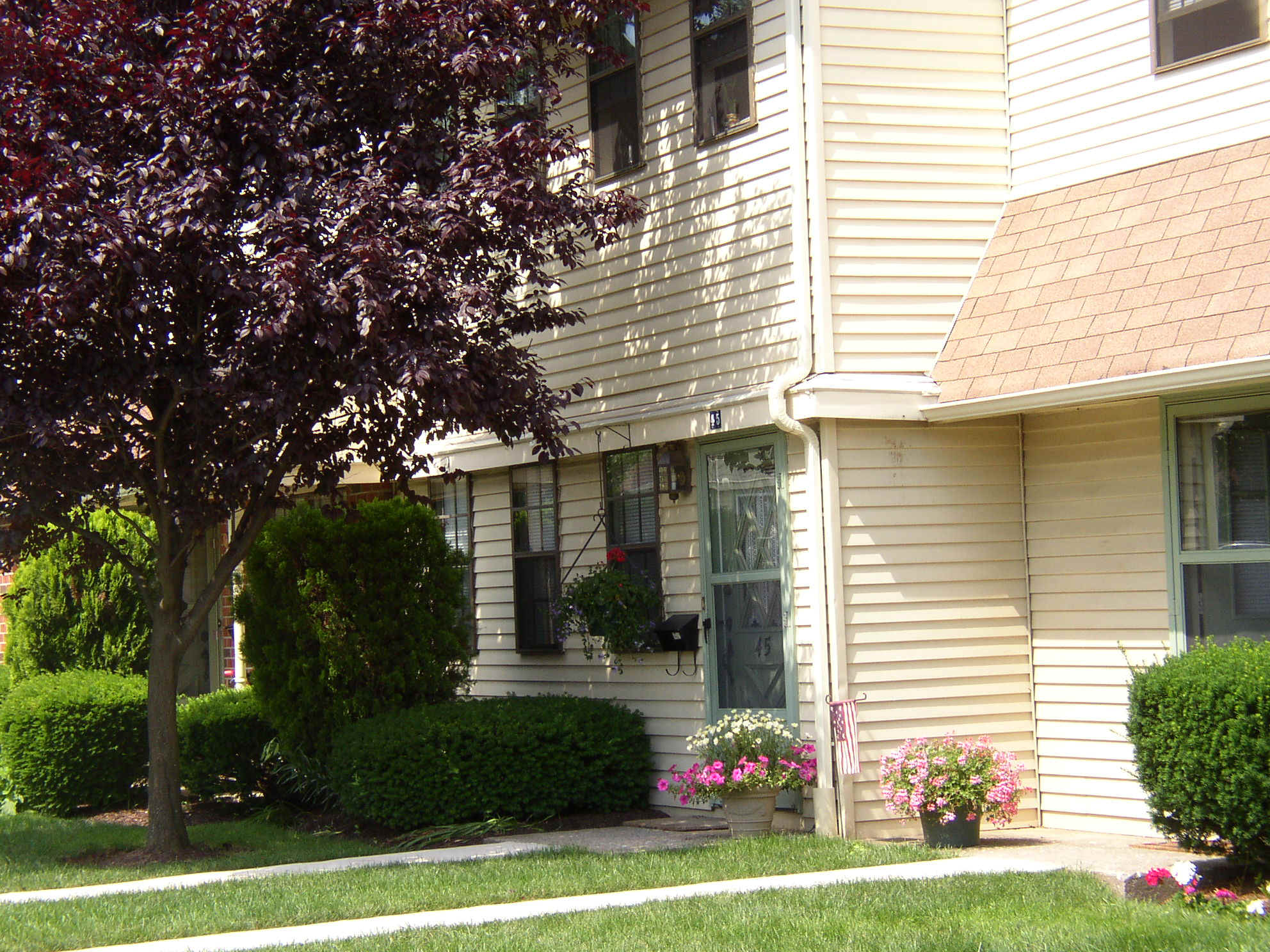 P1010066.JPG (732155 bytes)