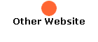 Other Website