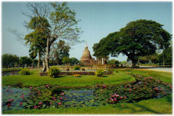  �Ѵ���ʧ����&nbsp;&nbsp;