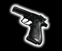 pe_gun.jpg (11150 bytes)