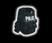 pe_vest.jpg (9337 bytes)