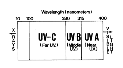 wave.gif (10112 bytes)