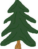 This is a spruce tree... click on it to get out of frames