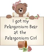 Come with me to adopt your own Pelagorium Bear.