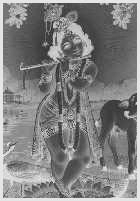 Graykris.gif (30617 bytes)