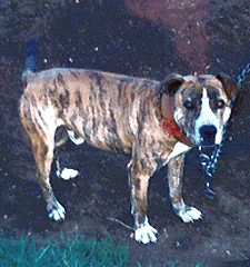 rrum-9-9.jpg 39.63 K