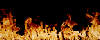 flame2.gif (28560 bytes)
