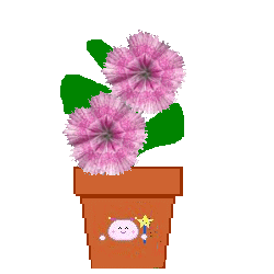 The Site Fights Spirit Flowers