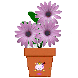 The Site Fights Spirit Flowers