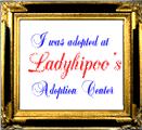 Ladyhipoo's Cyberpets