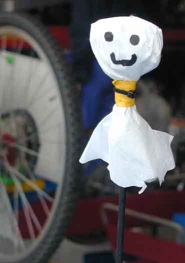 A small ghost wandering in the last Edition of Ecoran at Suzuka