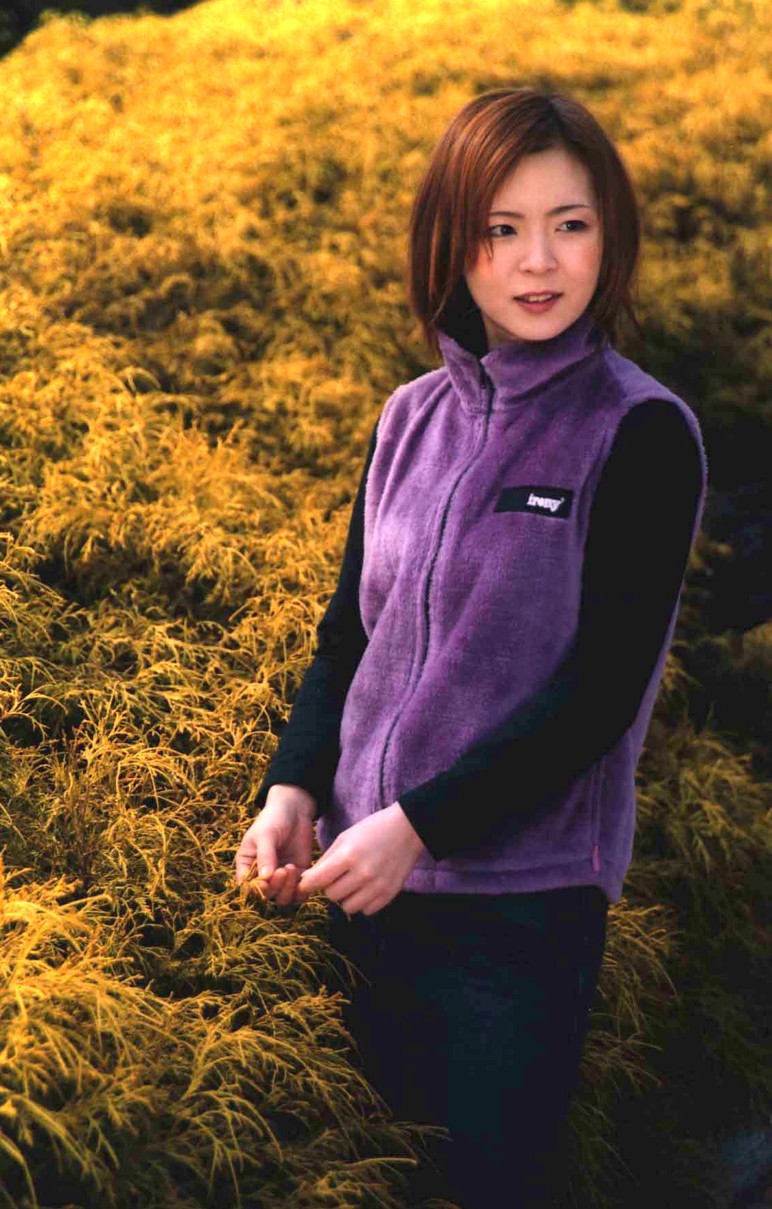 In the morning, in the green bushes