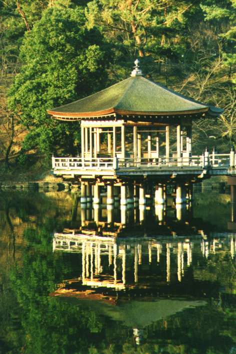 Golden temple in the Nara park