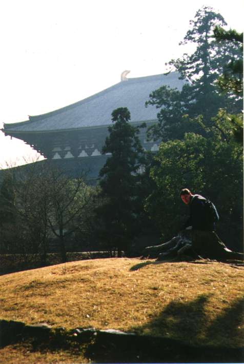 Nara park with Todai-ji in background